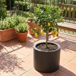 Moderner Blumentopf Rund Ø47cm in Anthrazit, Pflanzkübel 40L aus Kunststoff f...