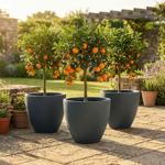 Set di 3 vasi rotondi per fiori 58 cm, grafite – Grande contenitore per piant...