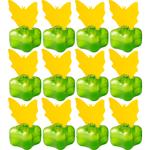 Effective fruit fly trap in a set of 12 – discreet fruit gnat trap for the fr...