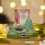 Seed Advent Calendar Winter Landscape – 24 surprises with vegetable, herb & f...