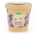 Vanilleblume Anzuchtset im Becher – Pflanzset mit Duft-Saatgut, Quelltablette...