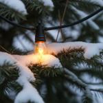 Stimmungsvolle Lichterkette mit 10 Flammen-Glühbirnen, 5,1m – IP44, täuschend...