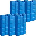 Elementi refrigeranti set da 6 – Blocchi frigo da 200 g per borsa frigo e box...