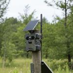 Solar-Wildkamera 4G-LTE mit IR-Nachtsicht – FullHD-Überwachungskamera mit PIR...