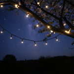 SmartLife LED Lichterkette - warmweiss/kaltweiss - 50 LEDs, 5m, IP65 - App- &...