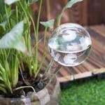set of 4 water-saving plant watering balls made of glass, Ø 6 x H 15 cm, tran...