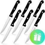6-piece stainless steel steak knife set, grill knives with serrated blades, l...