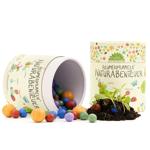 Blumenmurmeln Naturabenteuer - 100er Set Wildblumen-Mischung für blühenden Ga...