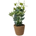 Pianta artificiale di edera in vaso di corda di cotone, 38 x 14 cm