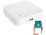 WLAN gateway for ZigBee and Bluetooth compatible ELESION devices
