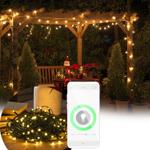 WLAN light chain with 160 warm white LEDs, 8 modes, app, IP44, 16 m